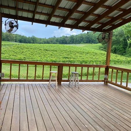 Eagle Mountain River Retreat Ellijay Εξωτερικό φωτογραφία