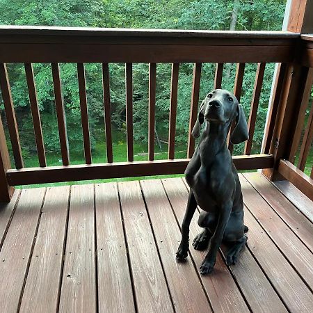 Eagle Mountain River Retreat Ellijay Εξωτερικό φωτογραφία