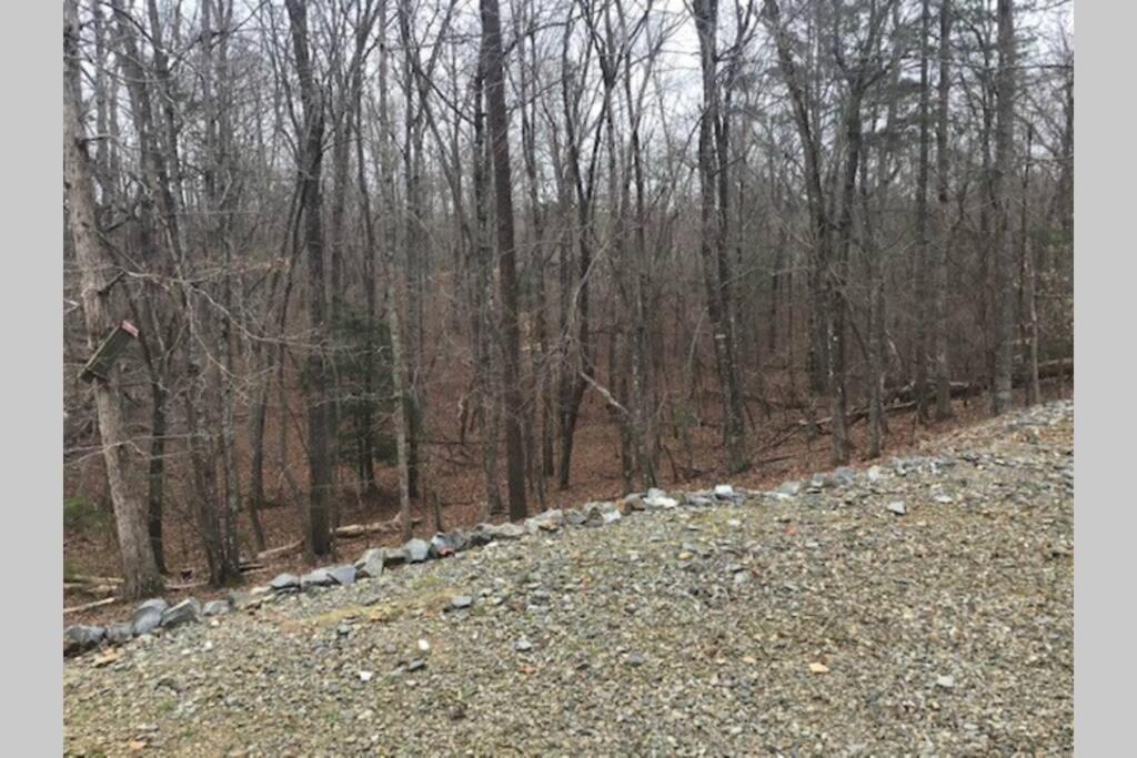 Eagle Mountain River Retreat Ellijay Εξωτερικό φωτογραφία