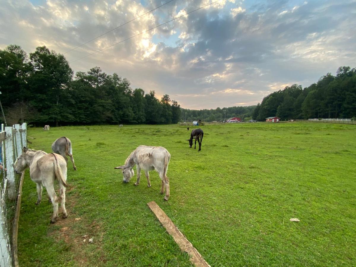Eagle Mountain River Retreat Ellijay Εξωτερικό φωτογραφία