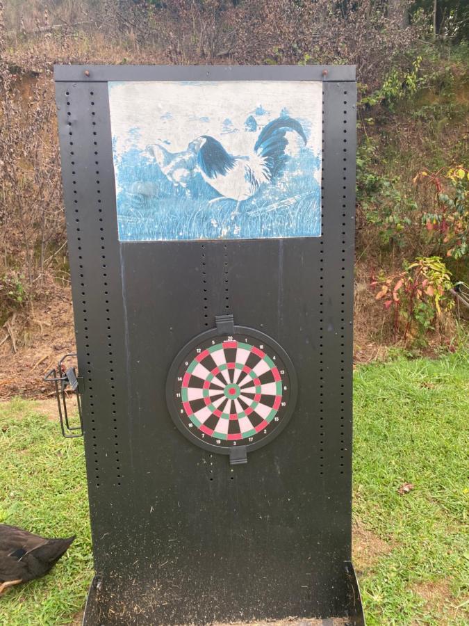 Eagle Mountain River Retreat Ellijay Εξωτερικό φωτογραφία